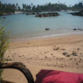 Stay Amongst Palm Trees Overlooking The Beach, Goa 1